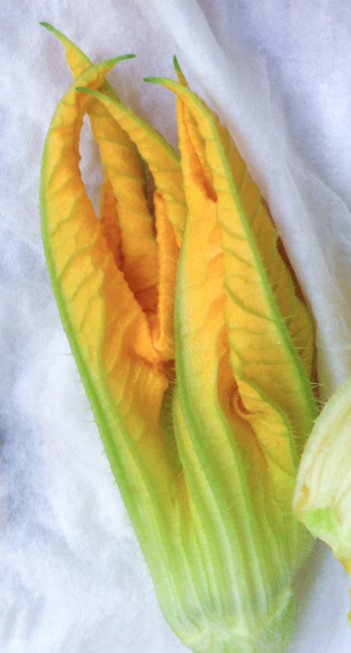 Les Papotages de Nana - Beignets de fleurs de courgettes