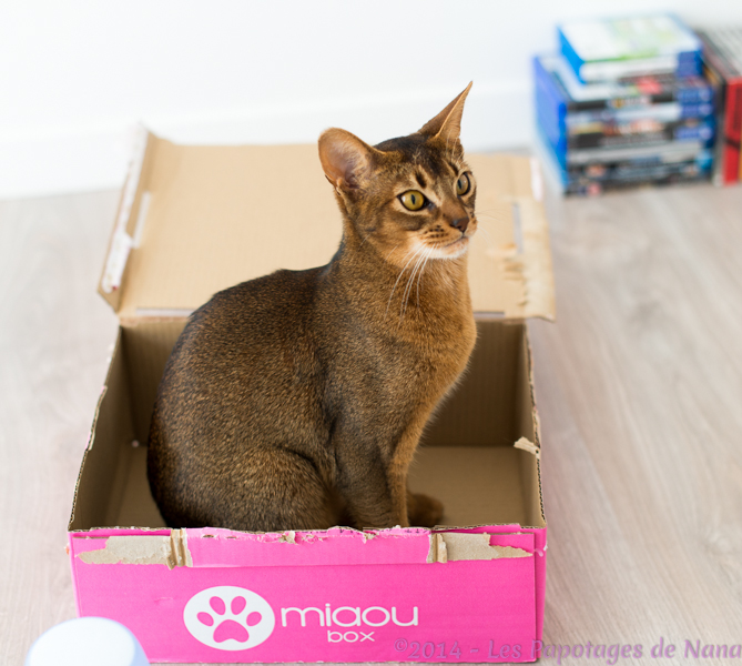 Les Papotages de Nana : MiaouBox