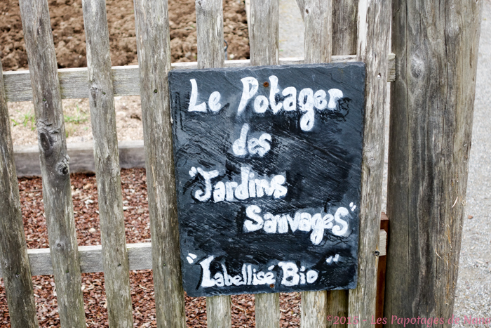 Les Papotages de Nana - La Grée des Landes