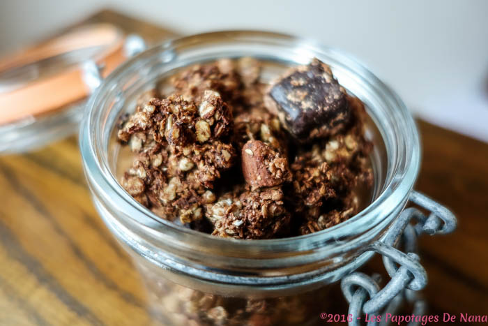 Les Papotages De Nana - Granola choco