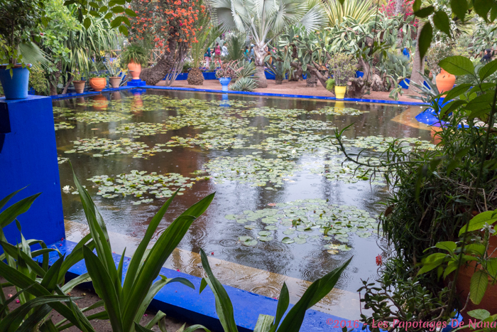 Les Papotages de Nana - Marrakech