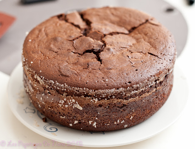 Les Papotages de Nana - Le souvenir d’un gâteau au chocolat