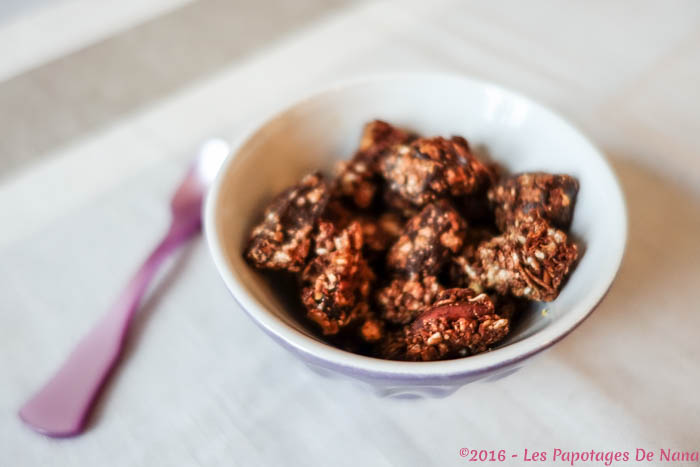 Les Papotages De Nana - Granola choco